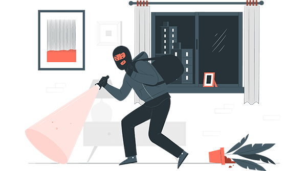 Theft Insurance