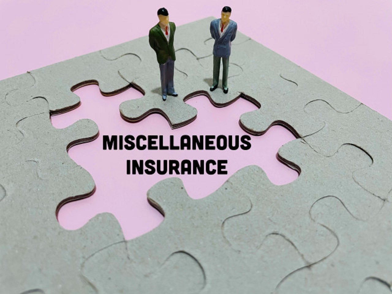 Miscellaneous Insurance